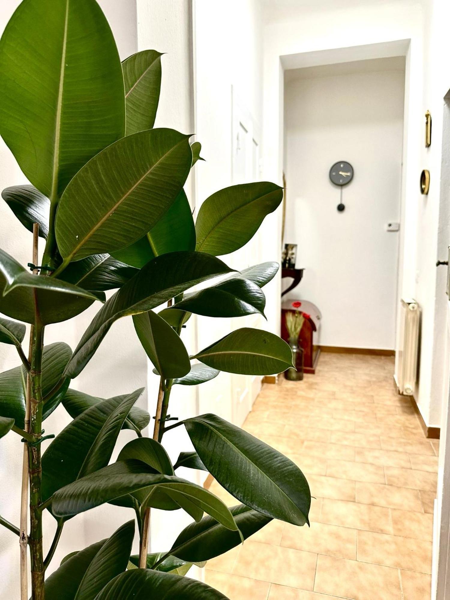 Casa Ganza Ferienhaus